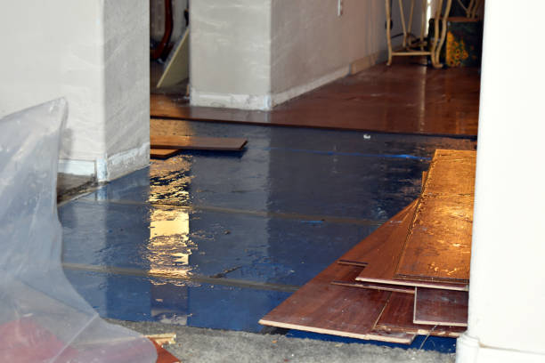 Professional Basement Flood Cleanup technician working in Juliustown, NJ